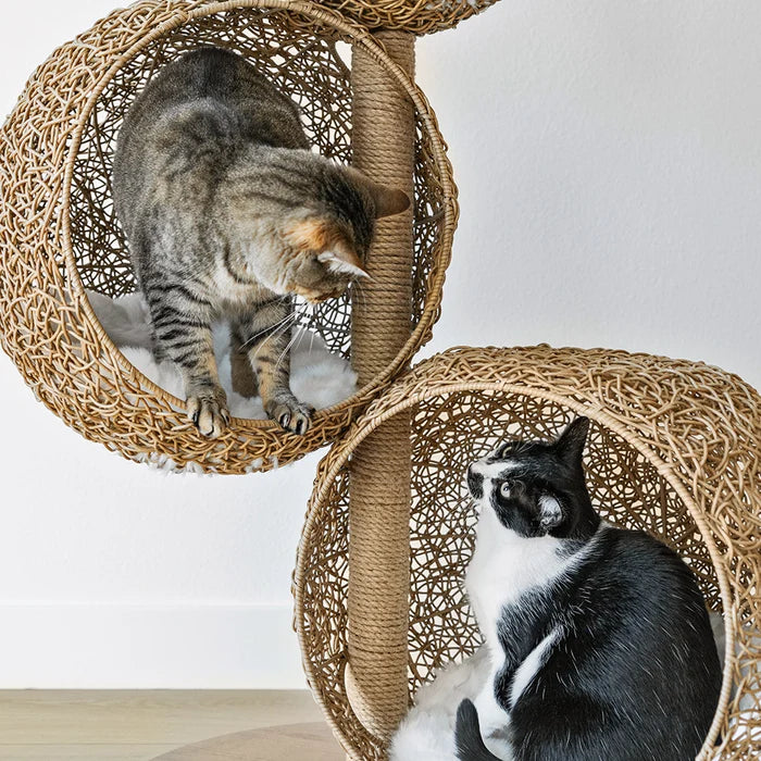 ✨Moon-Inspired🌙 Cat Tree with Floating Caves🐾