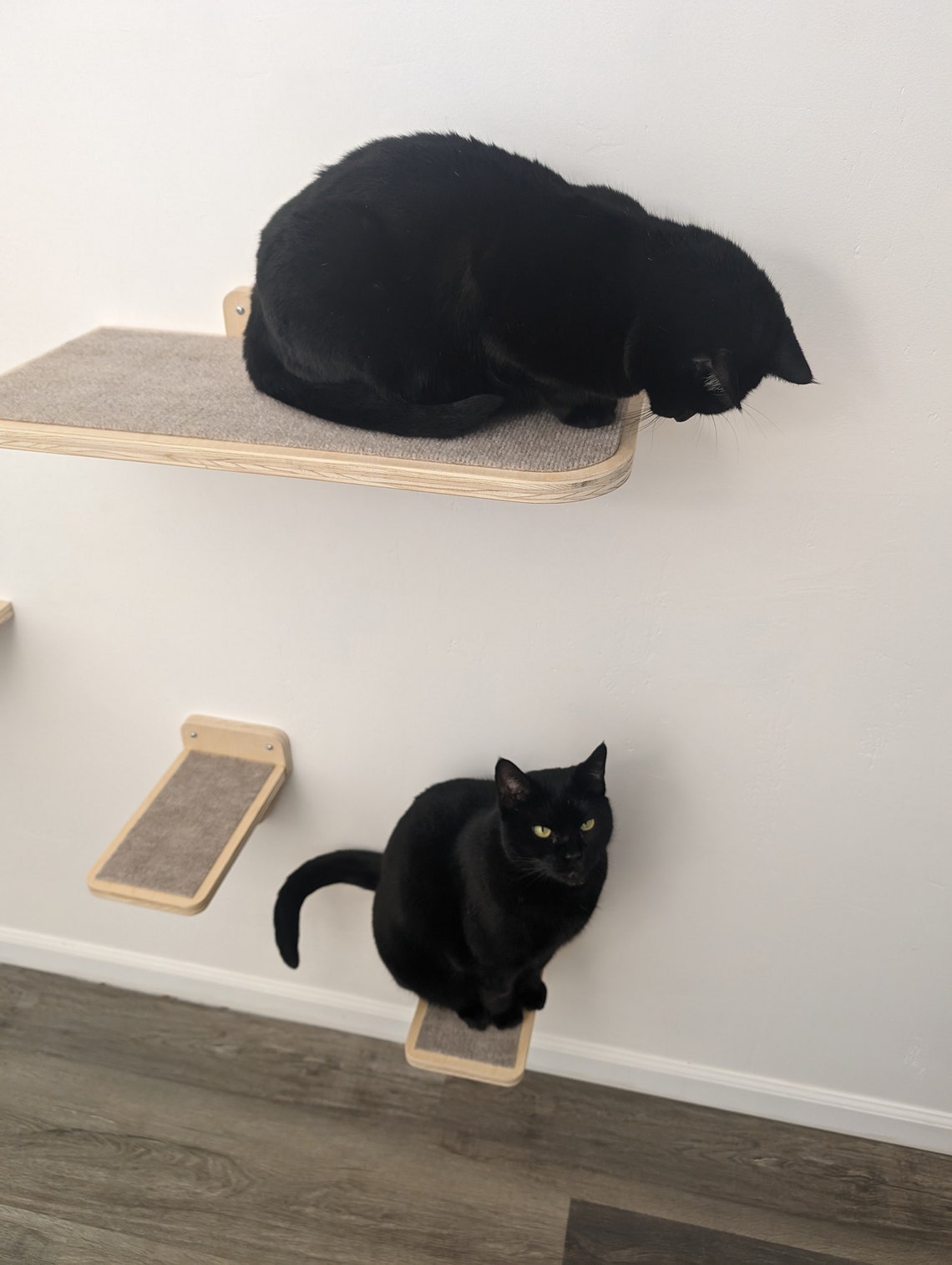 Cat wall mounted bed, shelf, platform, furniture. cat lounge | Contains one bed